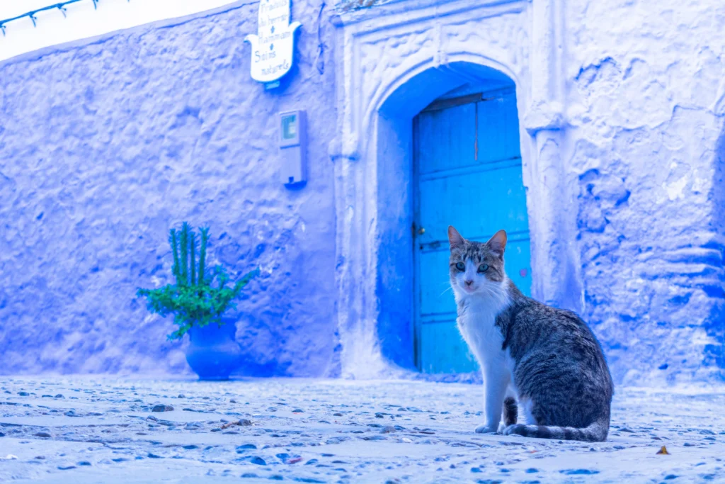 2 Best Day Trips from Chefchaouen, Morocco
